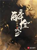 醉金盏沈临毓身份