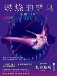 燃烧的山峰第2集视频