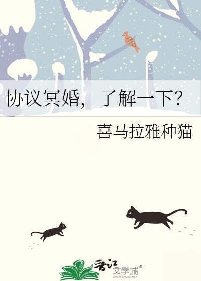 协议婚姻全文免费阅读
