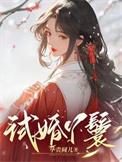 试婚丫鬟是陪嫁丫鬟