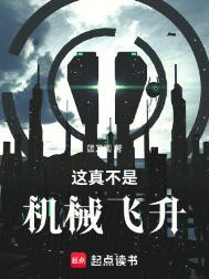 这真不是机械飞升大结局