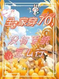 没有系统怎么行类别穿越作者 苏晨兮