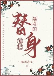 暴君的替身宠妃晋江