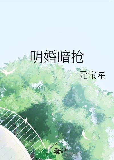 明婚暗抢元宝星免费阅读