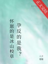怀崽的是清冷美人宿敌孕反全文免费阅读