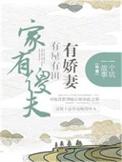 家有傻傻小夫郎 全文阅读