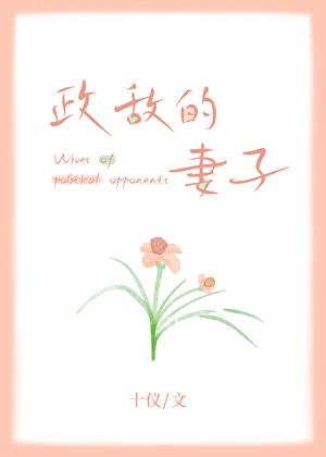 政敌3叶小树