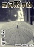 夜间刑事部讲的什么