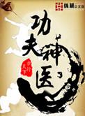 功夫神医全本TXT