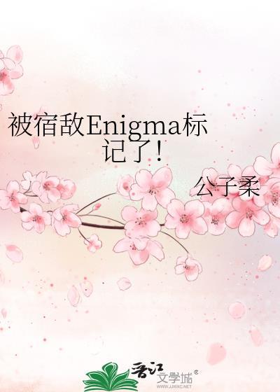 被宿敌Enigma标记了笔趣阁