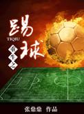 重生踢球的叶辰免费阅读