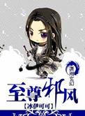 至尊邪风有男主吗