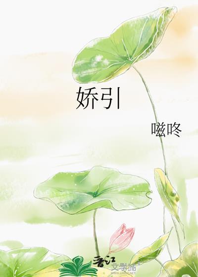 娇引嗞咚笔趣阁讲的什么