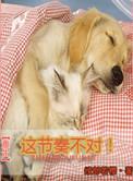 重生这节奏不对全文免费阅读