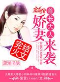首长大人娇妻来袭皇甫爵