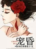 宠昏来袭第二季动漫