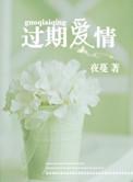 过期爱情番外钟沁结局