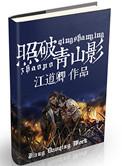 照破山河txt