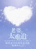 媳妇很难追