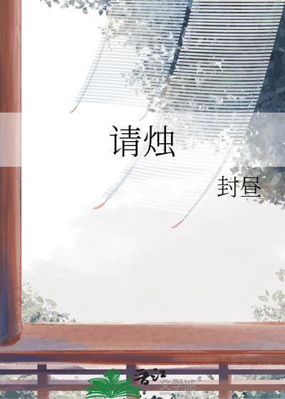 请烛txt
