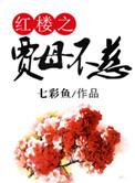 红楼之贾母不慈 百度
