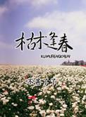 枯木逢春全文阅读
