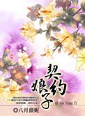 契约娘子电视剧简介