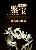 重生之鉴宝扬名立万
