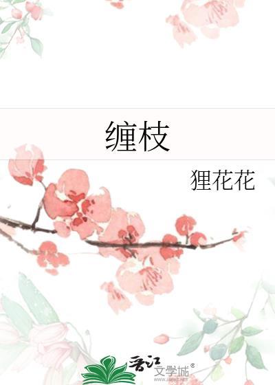 缠枝莲纹图案