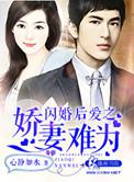 闪婚娇妻惹人疼