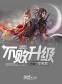不败升级简介