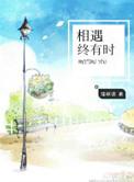 相遇终有时乔时怀孕