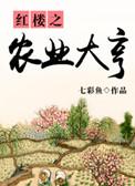 红楼之大家
