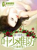 豪门盛婚叶少请节制全文免费