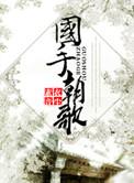 国手朝歌txt