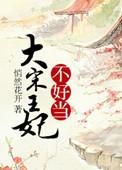 穿越之大宋王妃小木芙蓉