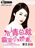 冷情总裁霸宠小娇妻全文免费阅读