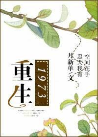 重生1973年陈文轩