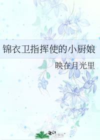 有羽倾舟62章和谐原文