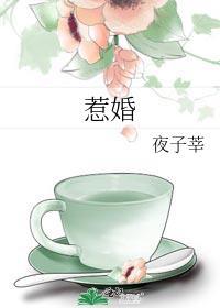 惹婚by夜子莘故事梗概
