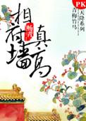 相府墙真高 全文免费阅读