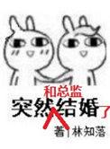 突然和总监结婚了 林知落