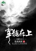 重生之宰辅在上晋江
