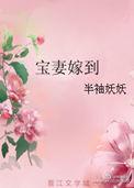宝妻来袭