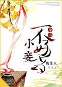 小妾不好当(穿书)讲的什么