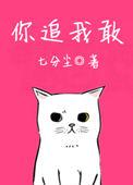 你追我敢 章节无重复的