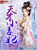 芸汐传电视剧