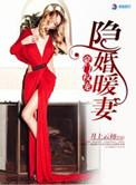 豪门暖婚权少盛宠妻