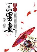 重生之一品男妻