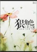 狠角色 三十三